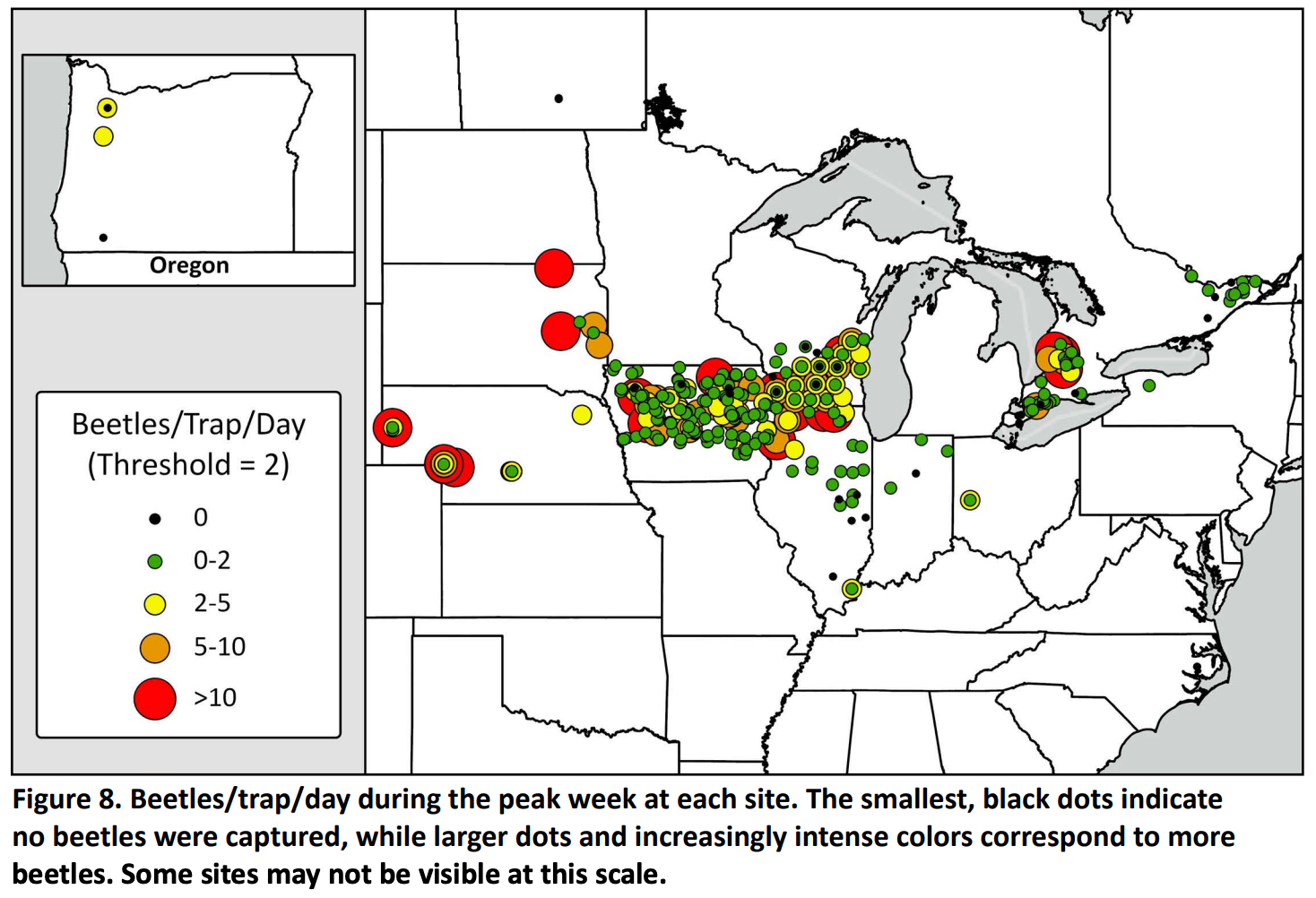 Corn Rootworm Map 2024