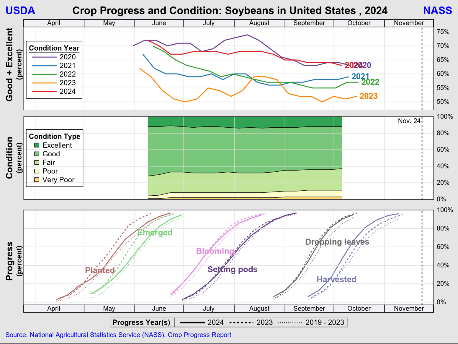 Crop Progress 2024 Soybeans