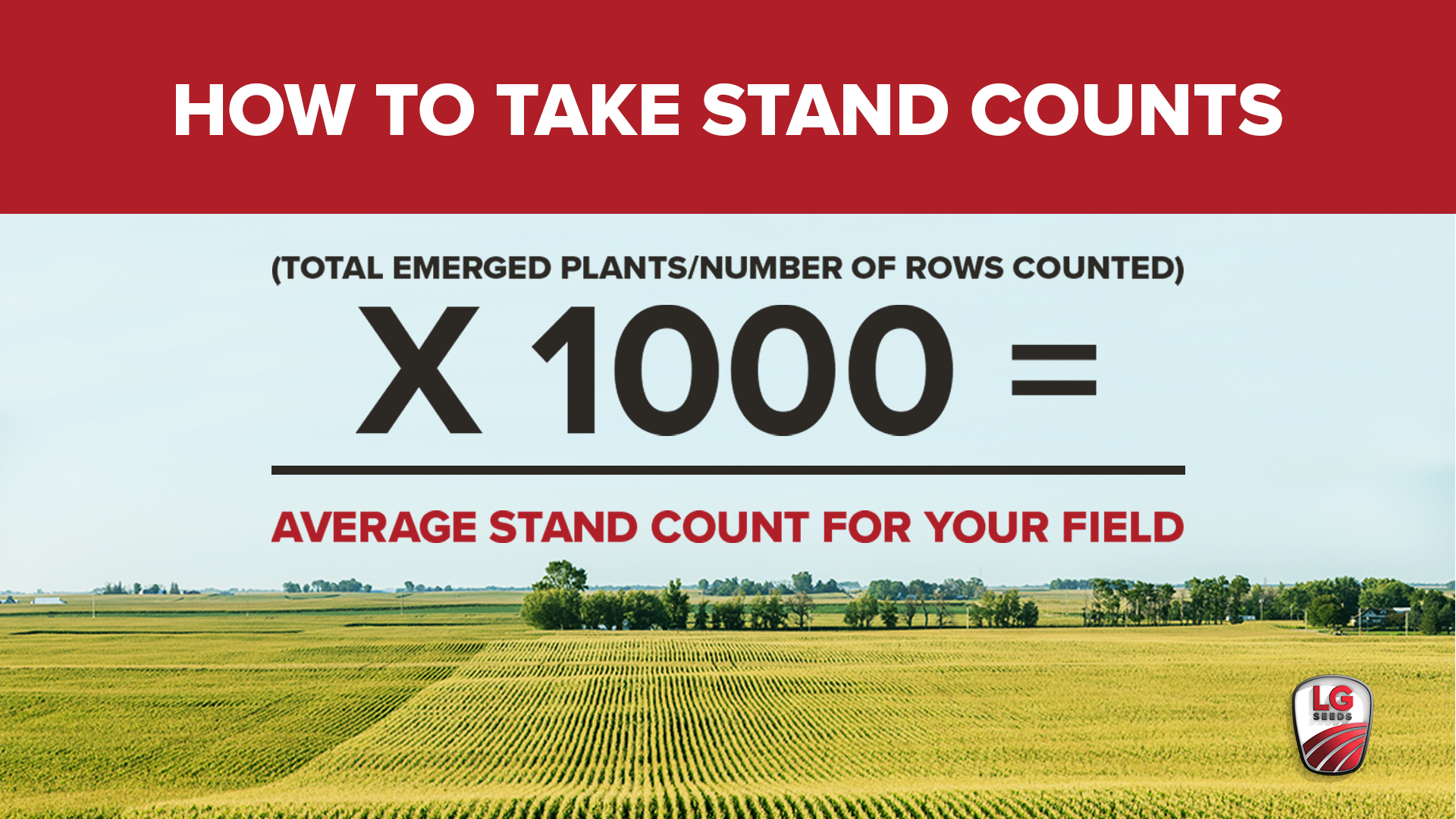 Making it Count Evaluate Your Crop by Taking Reliable Stand Counts