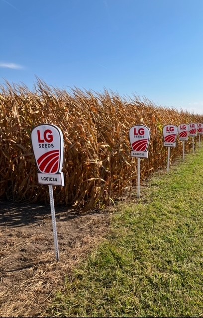 LGSeedsField