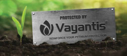 Reinforce your Pythium protection with Vayantis