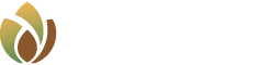 Vayantis Logo