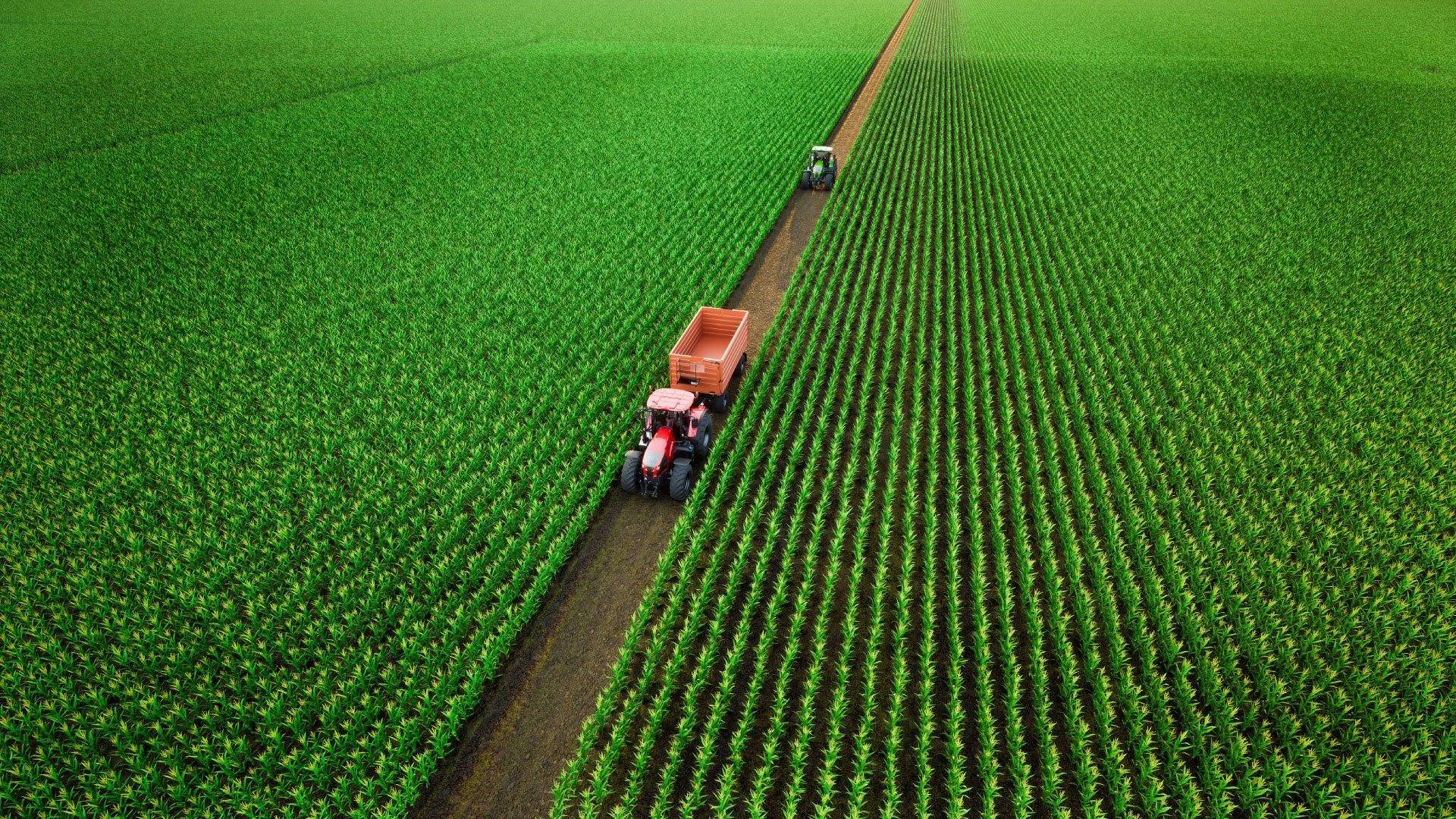 Silage Solutions Silage Solutions