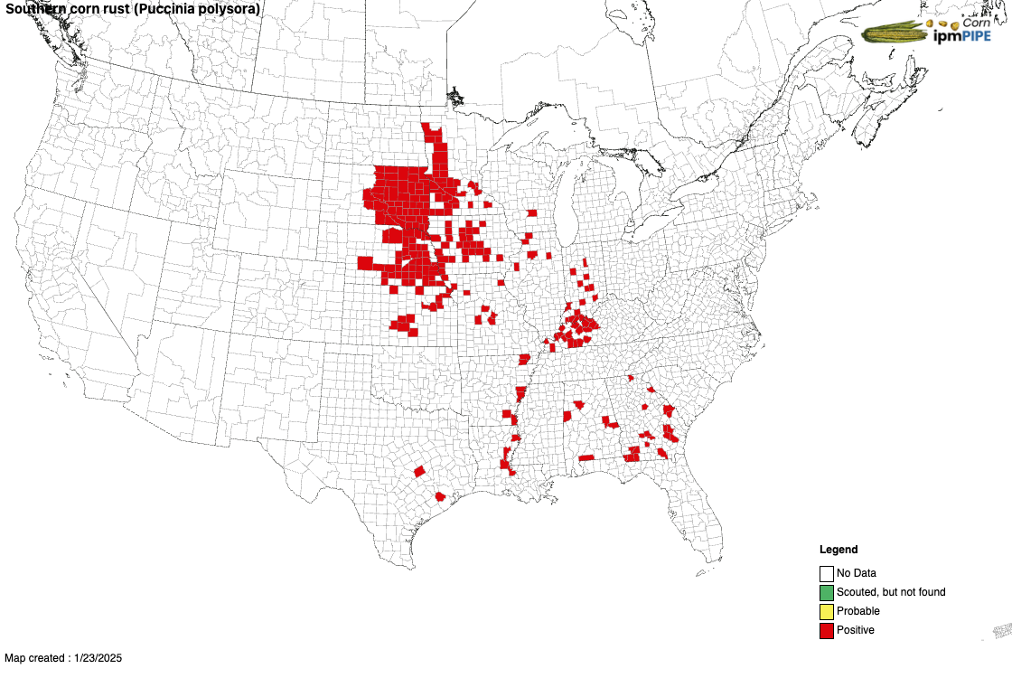 Southern Corn Rust Map 2024