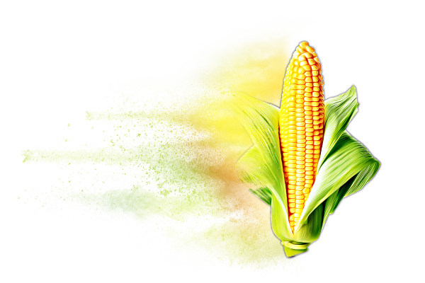 Distressed Corn Hybrid Graphic