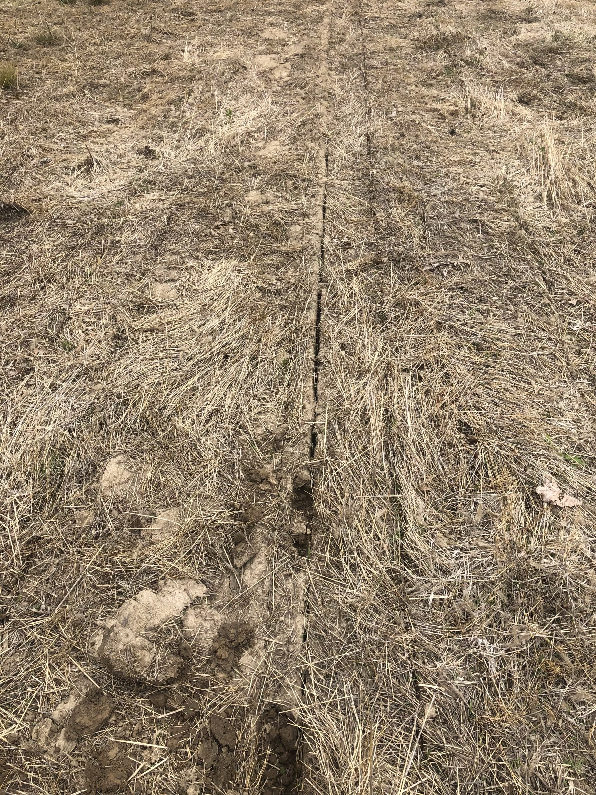 SidewallCompaction Sidewall compaction in a field