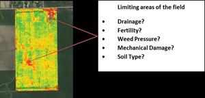 Variable Rate Seeding Variable Rate Seeding