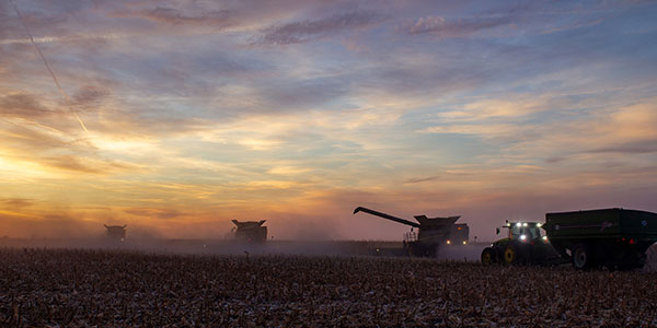 Fertilizing-Big-Yields-600x300