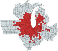 Areas with Tar Spot cases. Source: Crop Protection Network