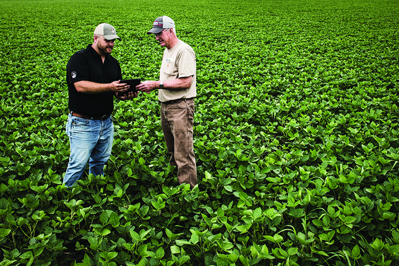 Using iPad in field