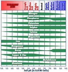 Jordan pH chart