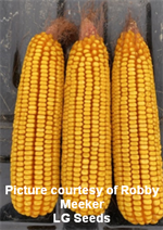 Meeker Corn 1 Cited