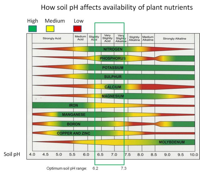 Soil Ph For Plants Chart