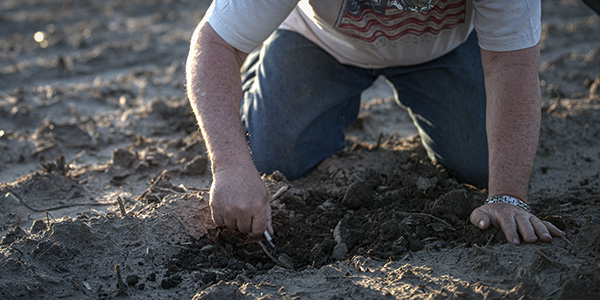 nutrient management