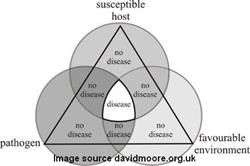 PB-Disease Triangle cited (002)