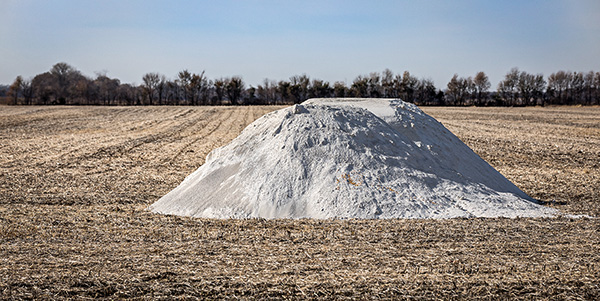 soil ph and nutrient availability