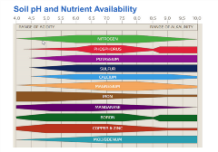 corn soybeans soil ph