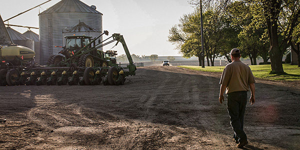 planting_600x300