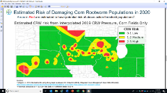 corn disease management