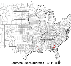 Map of Southern Rust in United States