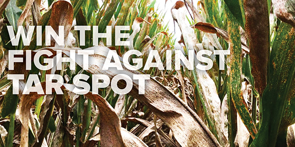 Win the fight against tar spot_600x300