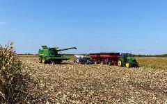 corn, soybean, harvest, LG Seeds